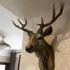 Rustic Faux Deer Head Wall Décor with Antlers