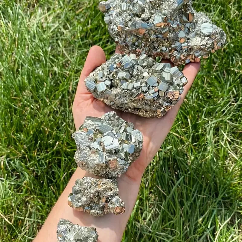 A hand holds several rough, sparkling natural pyrite crystals against a background of green grass.