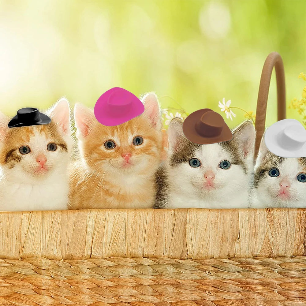 Cinq adorables chatons portant de mini chapeaux western cowgirl assis sur une surface en bois.
