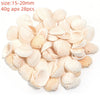 Natural Sea Snail Shell Beads for DIY Jewelry Making