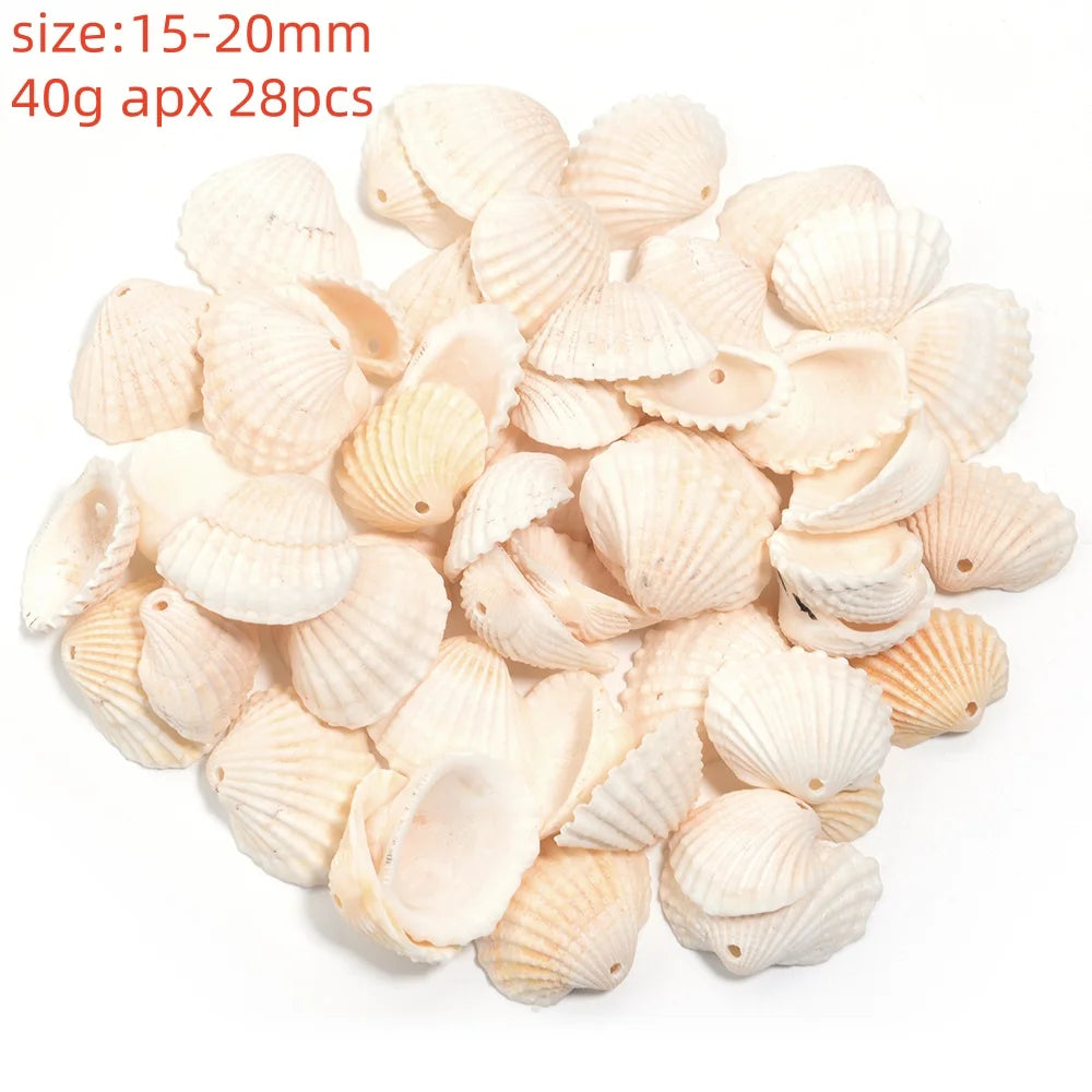 Natural Sea Snail Shell Beads for DIY Jewelry Making
