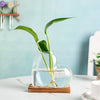 A clear glass vase shaped like a heart holds a green plant with roots in water on a wooden stand.