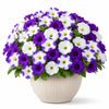 A bouquet of artificial petunia flowers in purple and white with green foliage