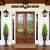 A pair of UV-resistant artificial Persian fern stakes displayed in a doorway with wooden flooring.