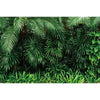 Dense green tropical jungle leaves providing a lush natural backdrop for photography
