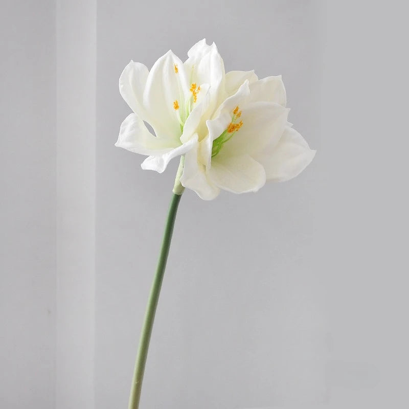 A white artificial clivia amaryllis flower with yellow stamens on a green stem.