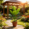 Artificial Bird of Paradise plant in a terracotta pot sitting on a stone path in a garden setting.