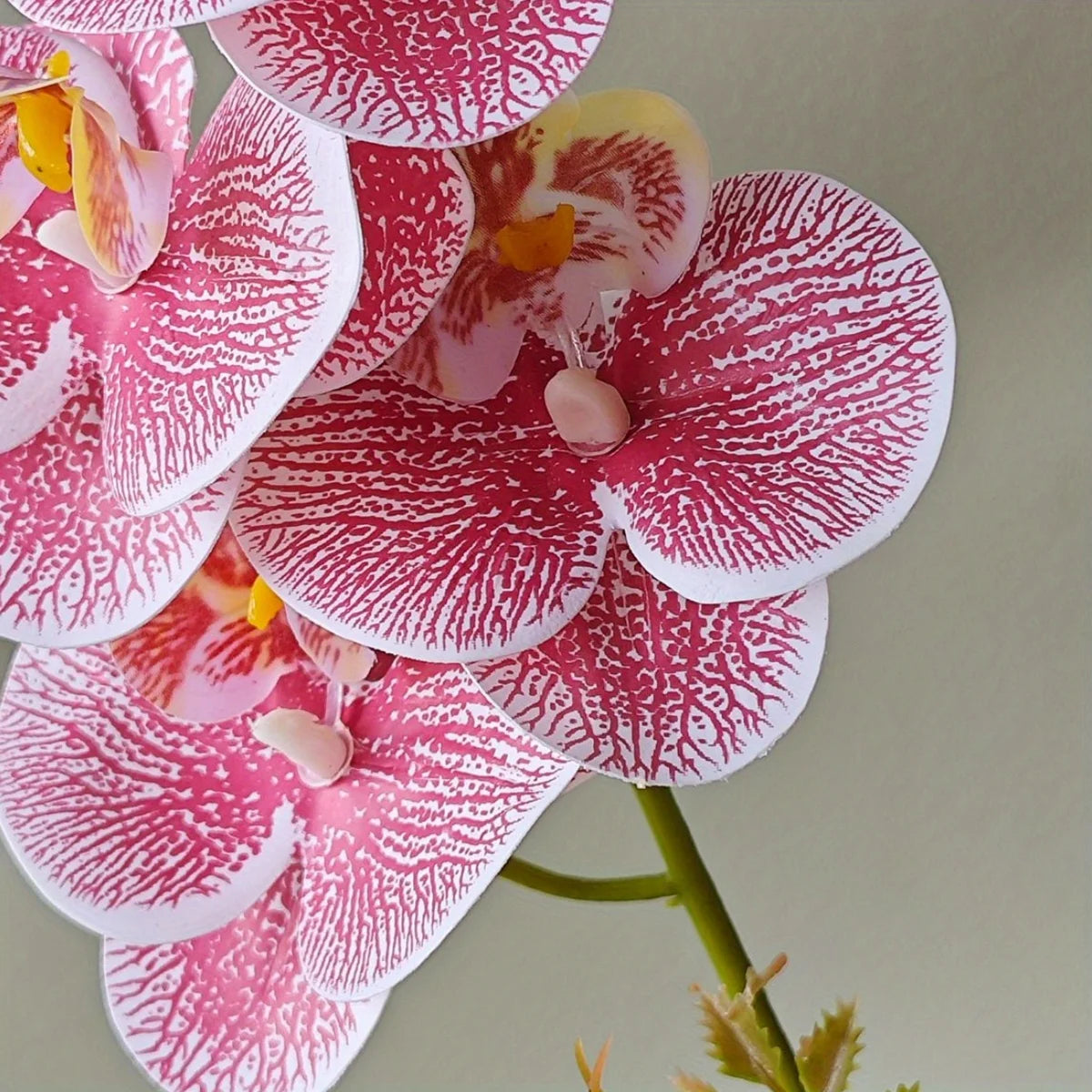 Close-up of vibrant pink and white artificial orchid flowers with intricate spotting