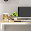 A small artificial lemon tree bonsai plant in a white pot sits on a wooden desk next to a computer monitor.