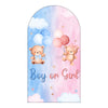 Watercolor illustration of a pink and blue arched backdrop with clouds, stars, and the text Boy or Girl.