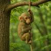 A small monkey clinging to a vine on a tree branch in a lush green forest setting.