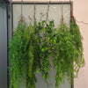 Artificial hanging ivy vine with green foliage displayed against a light background.