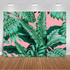 A vibrant pink background featuring lush green tropical palm leaves.