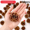 A hand holds a natural dried pine cone used for Christmas decor or DIY crafts.