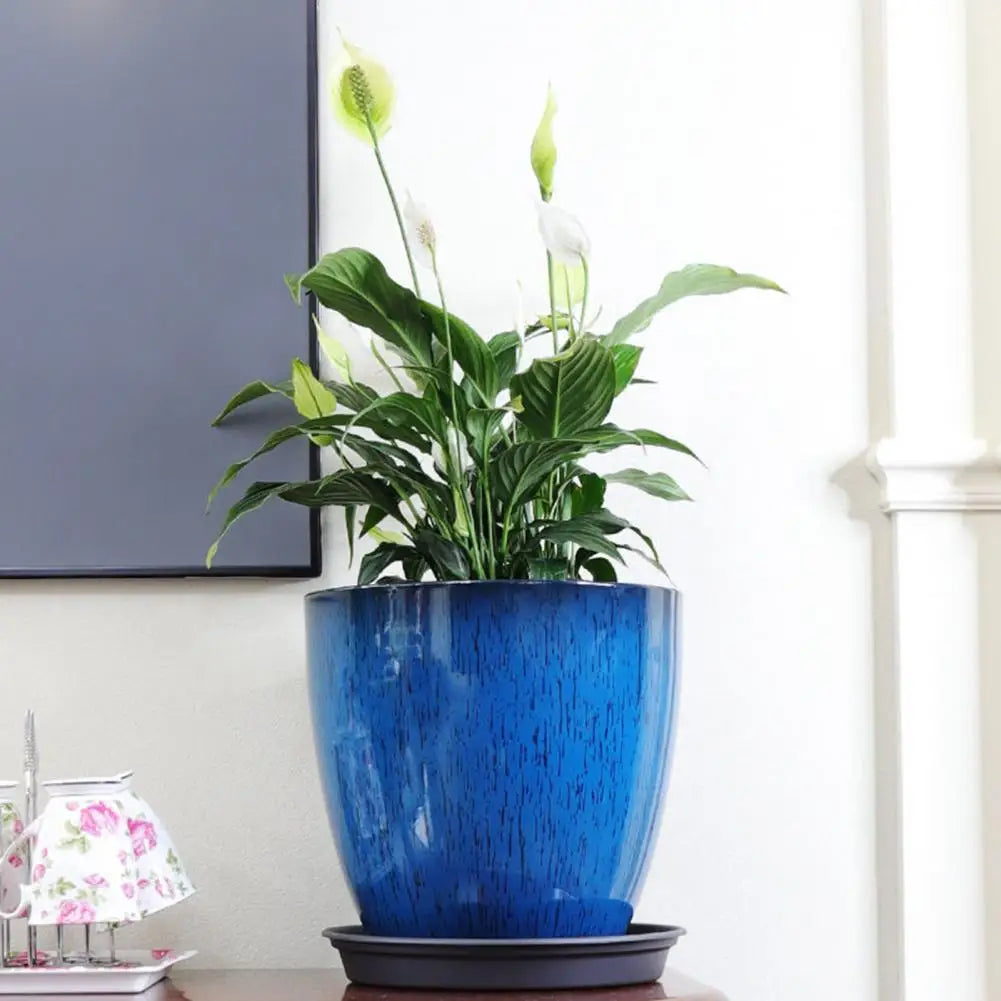 A large, vibrant blue resin planter holding a green Monstera plant on a dark tray.