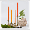 A set of gradient orange and pink taper candles displayed on natural stone and moss.