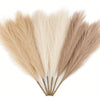 A set of twelve dried faux pampas grass plumes in various shades of beige and tan.