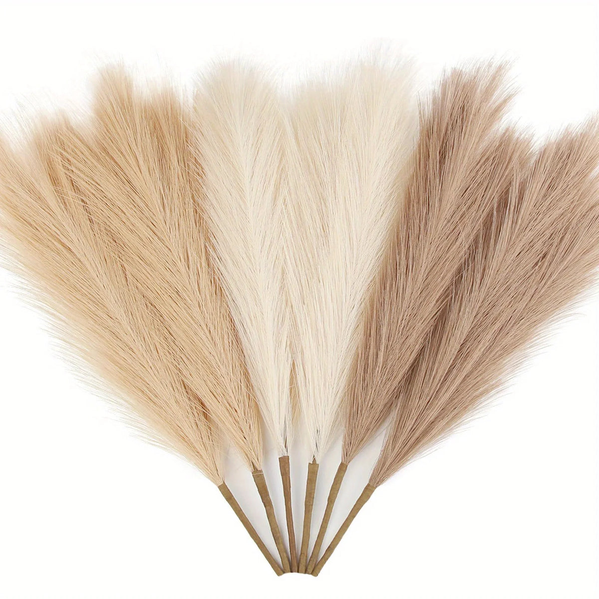 A set of twelve dried faux pampas grass plumes in various shades of beige and tan.