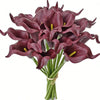 A bouquet of five deep burgundy calla lily blooms on green stems.