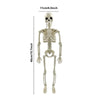 A white movable Halloween skeleton decoration showing the full skeletal structure.