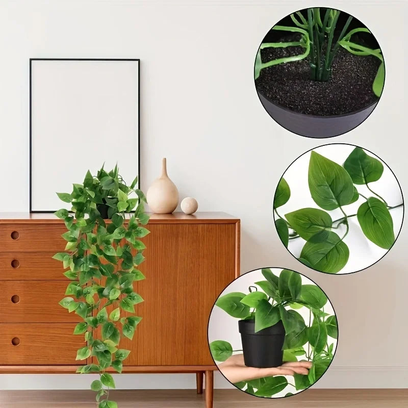 A collection of artificial hanging plants displayed on a wooden cabinet and various circular close-ups.