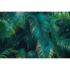 A dense background of vibrant green tropical jungle leaves used as a photography backdrop.