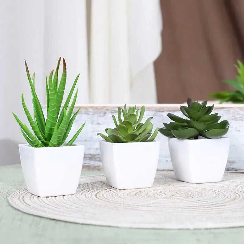Set of 3 Artificial Evergreen Bonsai Plants