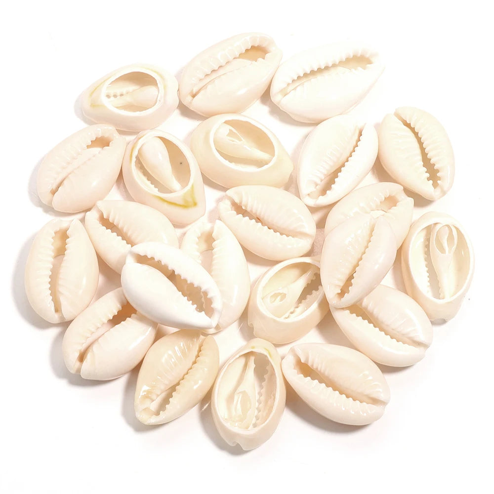 Natural Sea Snail Shell Beads for DIY Jewelry Making