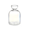 Klares Glas-Hydroponik-Pflanzer mit abgerundetem Korpus und passender Deckel.