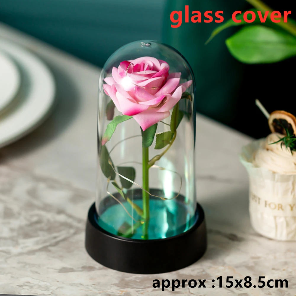 A pink rose flower is displayed inside a glass dome on a black base.