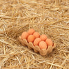A small terracotta egg tray filled with brown eggs rests on a bed of straw.