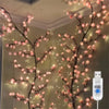 LED rattan string lights with pink blossoms decorating a wall or window.