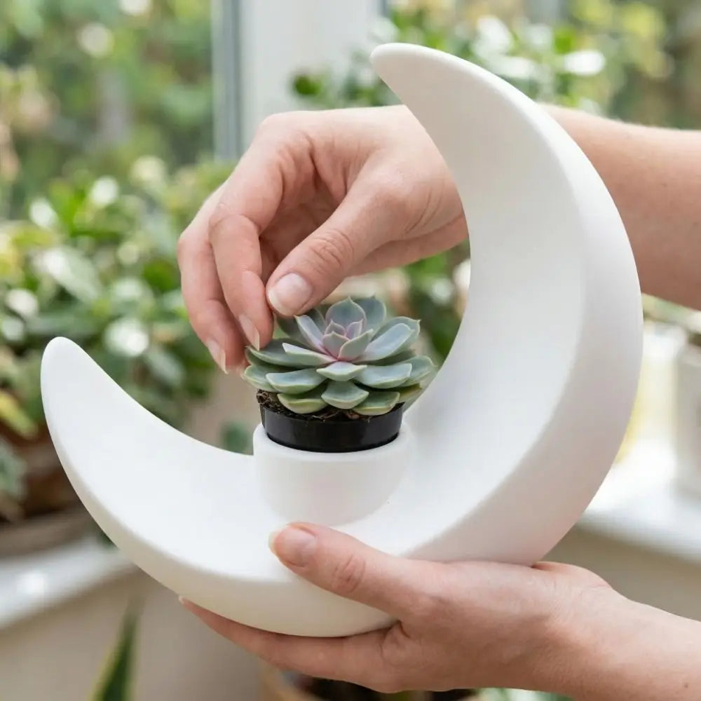 Hands hold a white moon-shaped decorative vase with a succulent plant in a bright indoor setting.