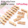 Colorful Natural Wooden Clips for Crafts, Photos, and DIY Projects