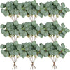A set of artificial eucalyptus stems used for floral arrangements.