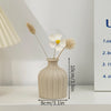 A minimalist ceramic vase with a textured finish holds dried floral elements on a white surface.