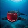 A black sea monster fidget toy with a wide open red mouth is visible underwater.