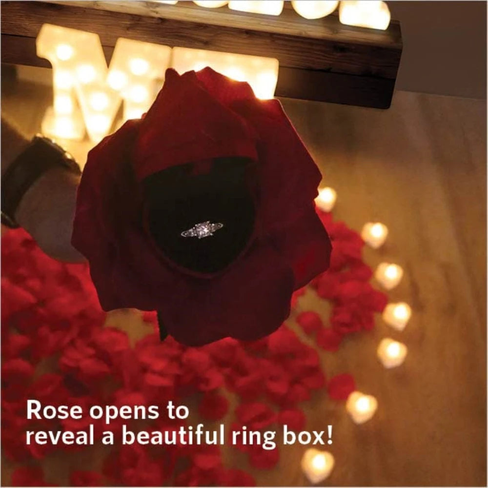 Ein rotes Rosenblatt öffnet sich und enthüllt eine funkelnde Diamantringbox, beleuchtet von warmen LED-Lichtern.