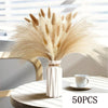 A bouquet of dried beige pampas grass flowers in a white vase on a light surface.