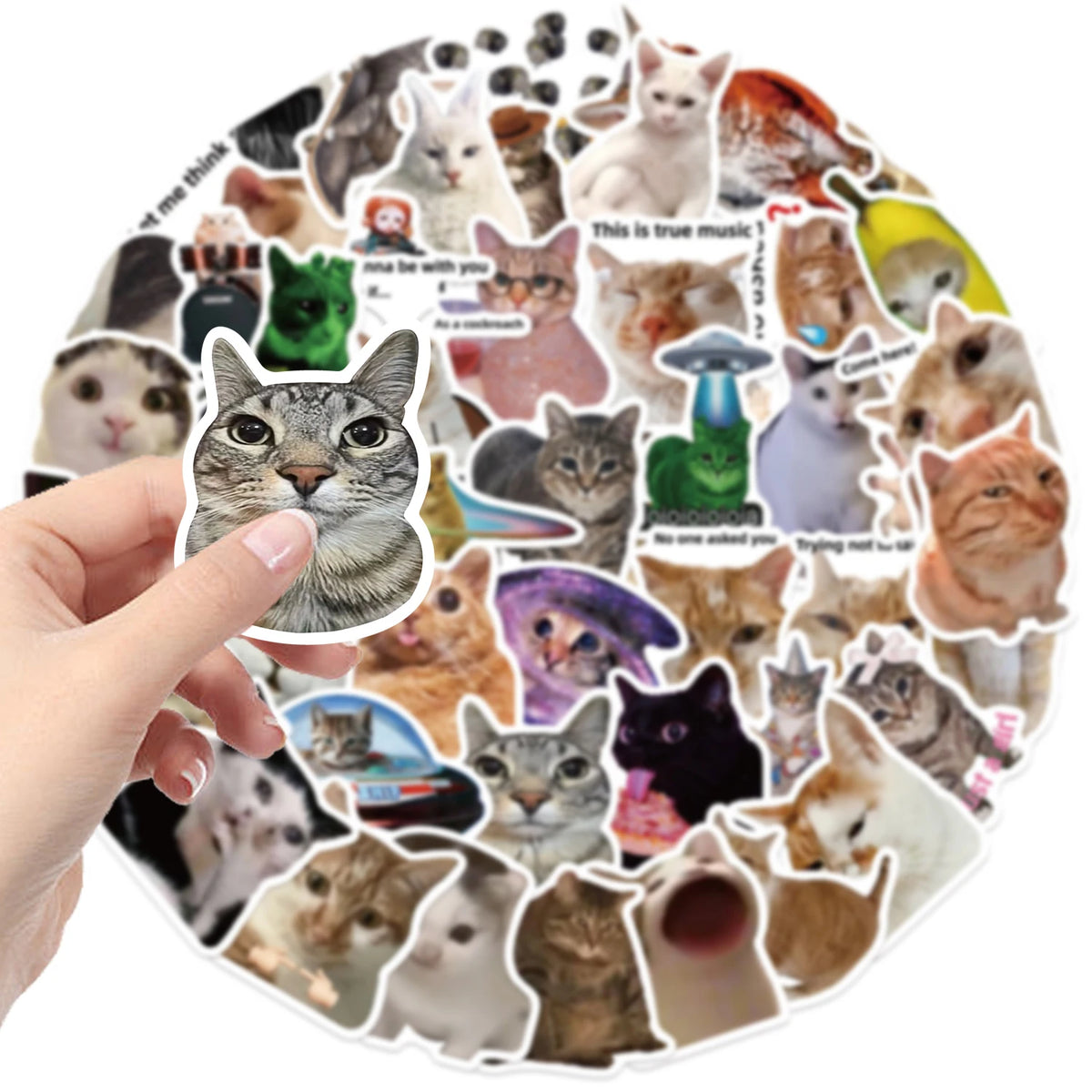 A collection of waterproof vinyl decals featuring various cats and kittens