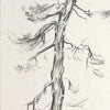 A black and white sketch of a tree with branches and small animals drawn on paper.
