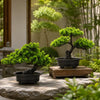Artificial bonsai pine tree in a black pot displayed on a stone surface with lush green foliage in a garden setting