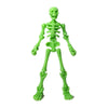 A bright green plastic skeleton figurine showing the full body structure.