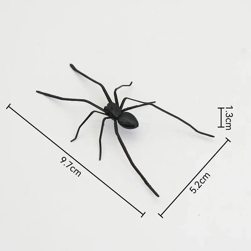 Eine schwarze Spinne mit Maße, die ihre Größe anzeigen.