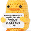 Handmade Crochet Emotional Support Animal Doll with Heartfelt Card