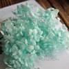 A cluster of light mint green dried hydrangea flowers used for home decor.
