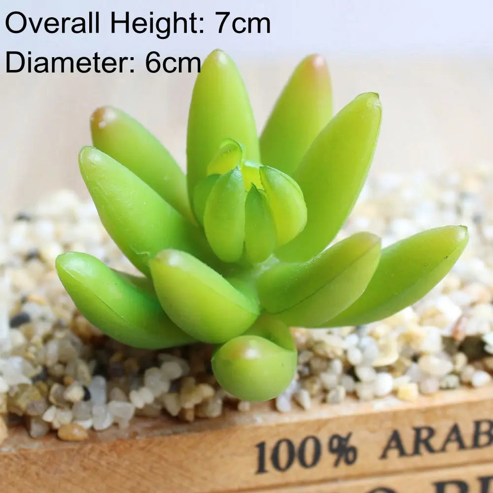 Artificial Succulent Bonsai for Desk & Home Decor