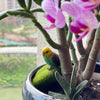 A yellow parrot figurine is perched on a plant branch in a potted indoor garden setting.