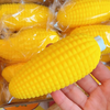 A hand holds a bright yellow squishy food-shaped stress ball corn in clear packaging.