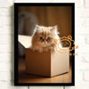 A fluffy orange Persian kitten is sitting inside a cardboard box, photographed in a dark setting.